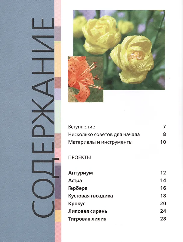 Книга Цветы и букеты из гофрированной бумаги (Агнешка Бойраковска-Пшенёсло) — 2