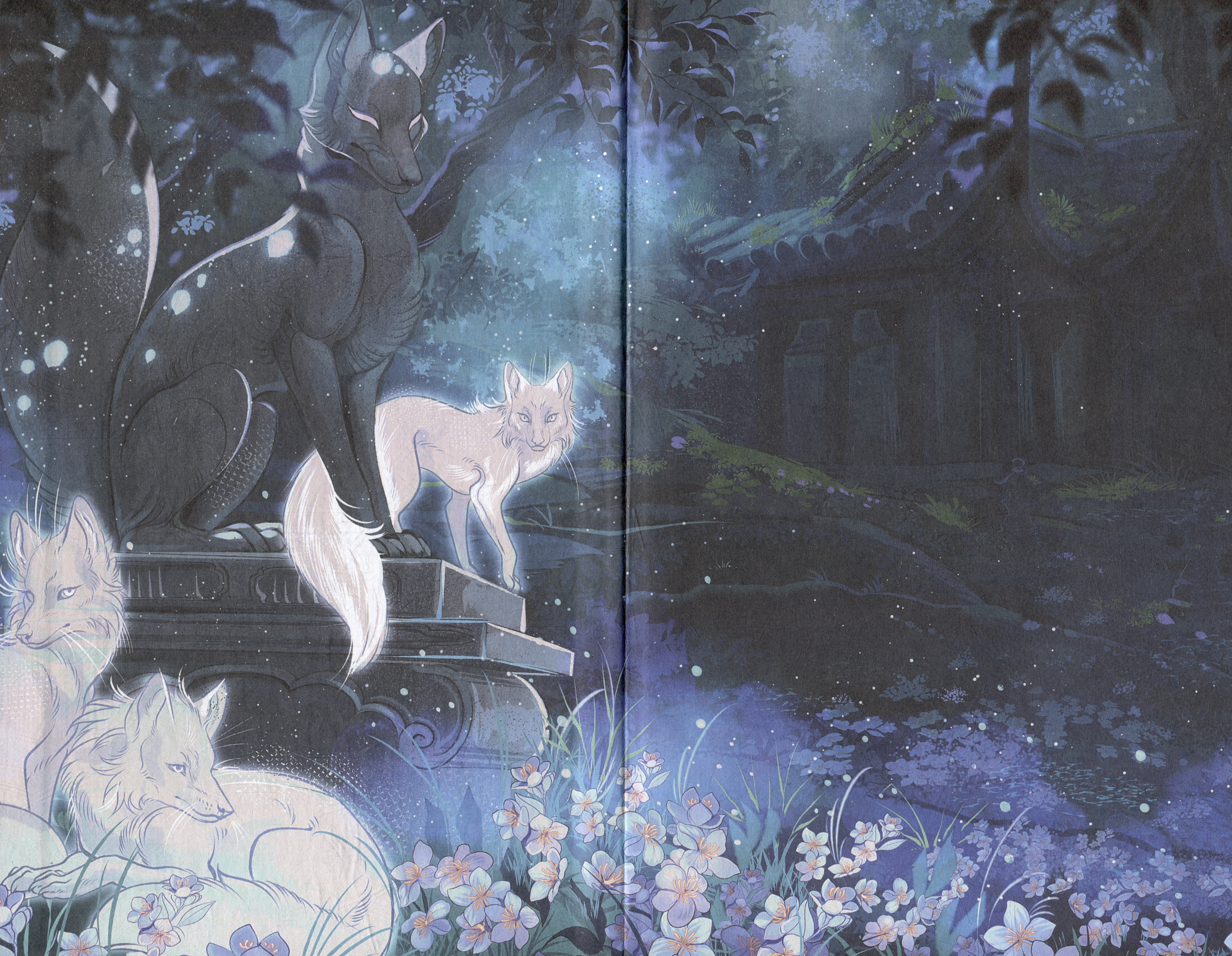 Изображение бумажной книги