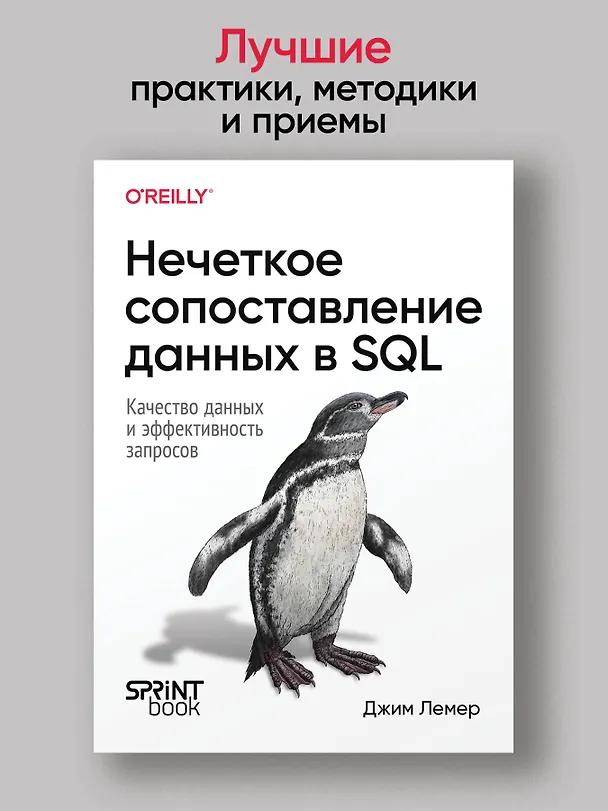 Книга Нечеткое сопоставление данных в SQL (Джим Лемер) — 3