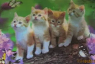 3D постер Котята (3D PS 34) 2292909