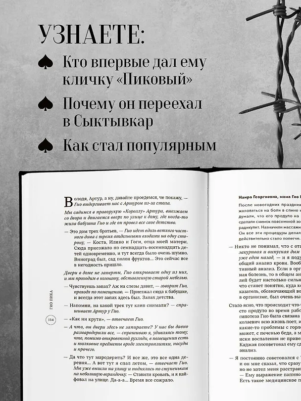 Книга Гио Пика: с юга на север. Авторизованная биография (Владимир Еркович) — 10