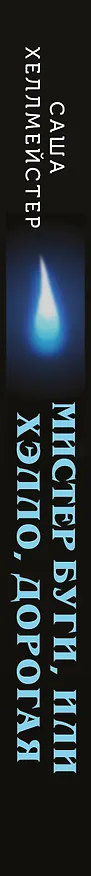 Книга Мистер Буги, или Хэлло, дорогая (#3) (Саша Хеллмейстер) — 4