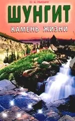 Шунгит- камень жизни — 2036196 — 1