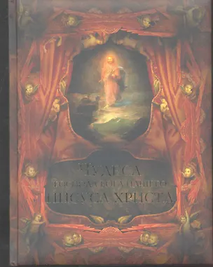 Книга Чудеса Господа Бога нашего Иисуса Христа (Владимир Бутромеев)