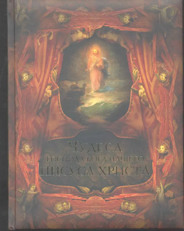 Книга Чудеса Господа Бога нашего Иисуса Христа (Владимир Бутромеев) — 1