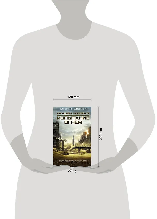 Книга Испытание огнем (Джеймс Дэшнер) — 4