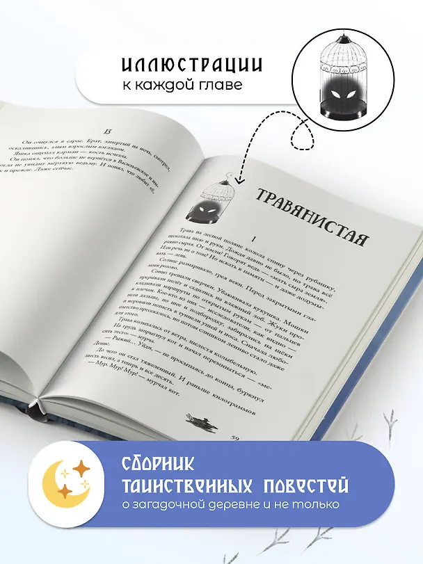 Книга Призрачная деревня (Юлия Михалева) — 7