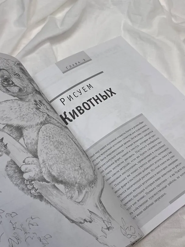 Книга Основы рисования (А. Степанова) — 10