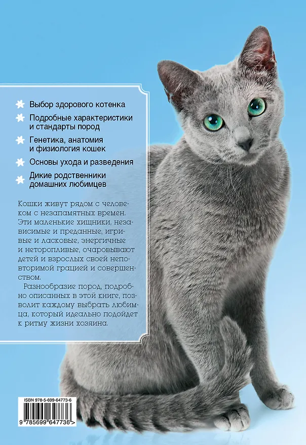 Книга Все породы кошек / Полный справочник (Ольга Замятина) — 2