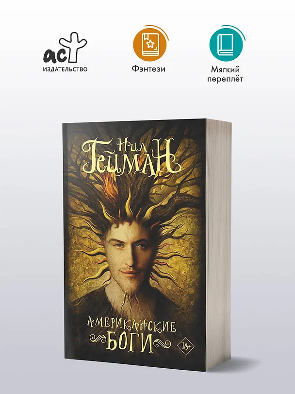 Книга Американские боги (Нил Гейман) — 5