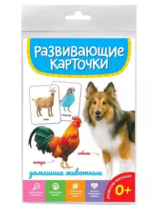 Домашние животные. Развивающие карточки — 2996385 — 1