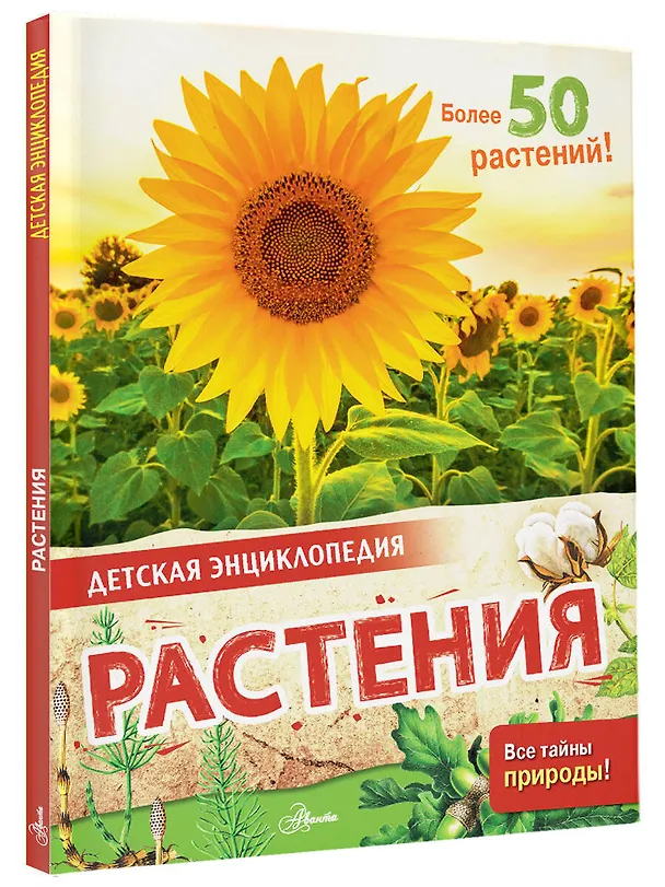 Книга Растения (Энн МакРей, Ричард Смит) — 4