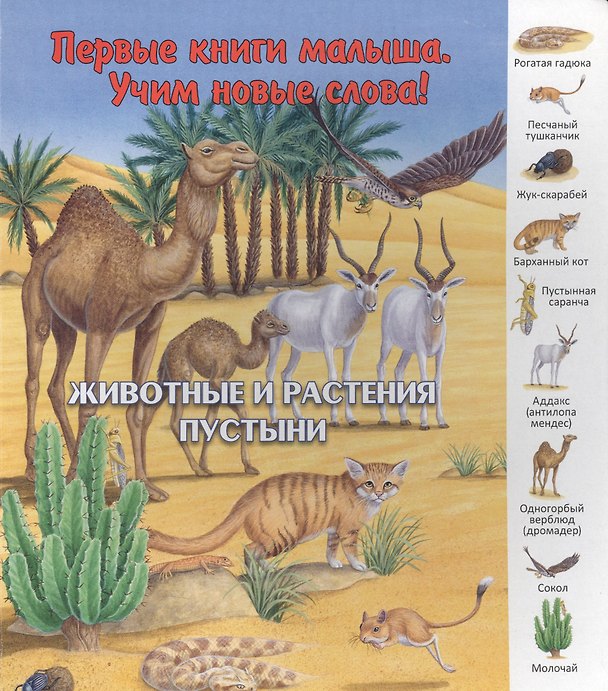 Книга Животные и растения пустыни (ПерКнМалУчНовСл) (картон) Комарова () — 1