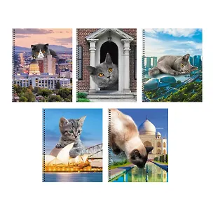 Тетрадь в линейку Listoff, "Коты в городе!", 60 листов, в ассортименте 3039396