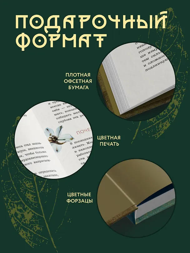 Книга Wabi Sabi. Японские секреты истинного счастья в неидеальном мире (Бет Кемптон) — 8