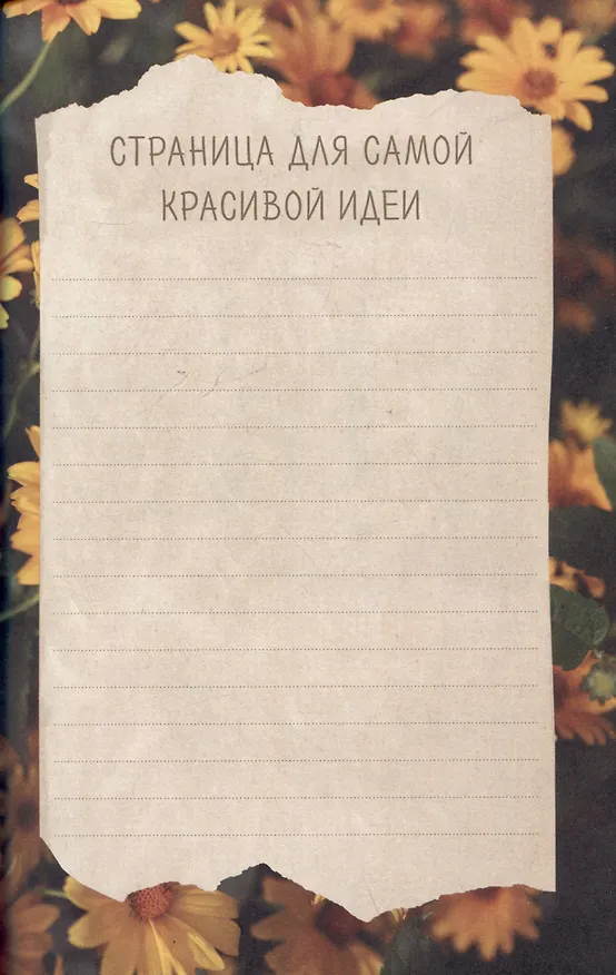 Книга Планер "Творчество внутри меня. Следуй к мечте" (Кристина Цвикевич) — 3