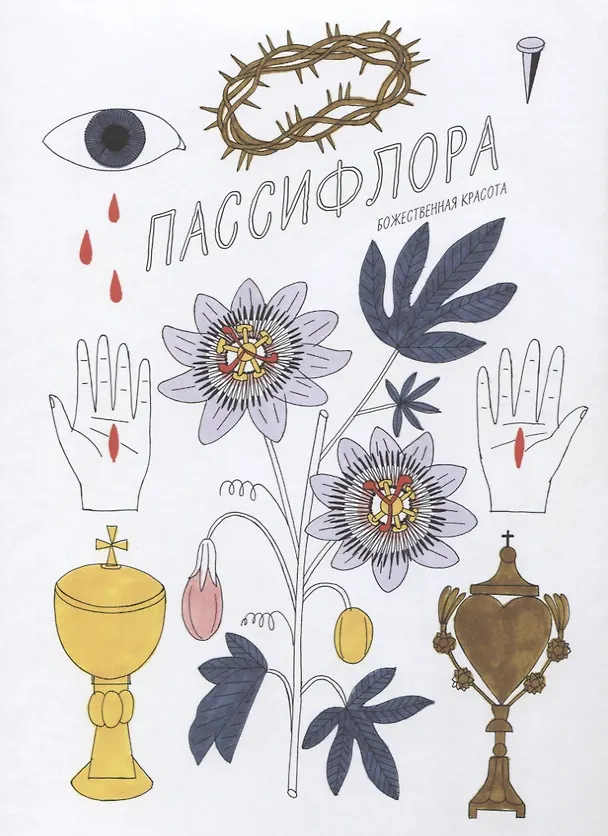 Книга История ароматов. Путешествия цветов из далеких стран () — 5