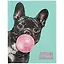 Дневник школьный Феникс+, "Французский бульдог" — 259876 — 1