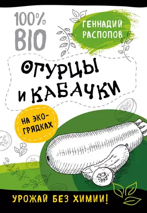 Огурцы и кабачки на эко грядках. Урожай без химии — 2629525 — 1