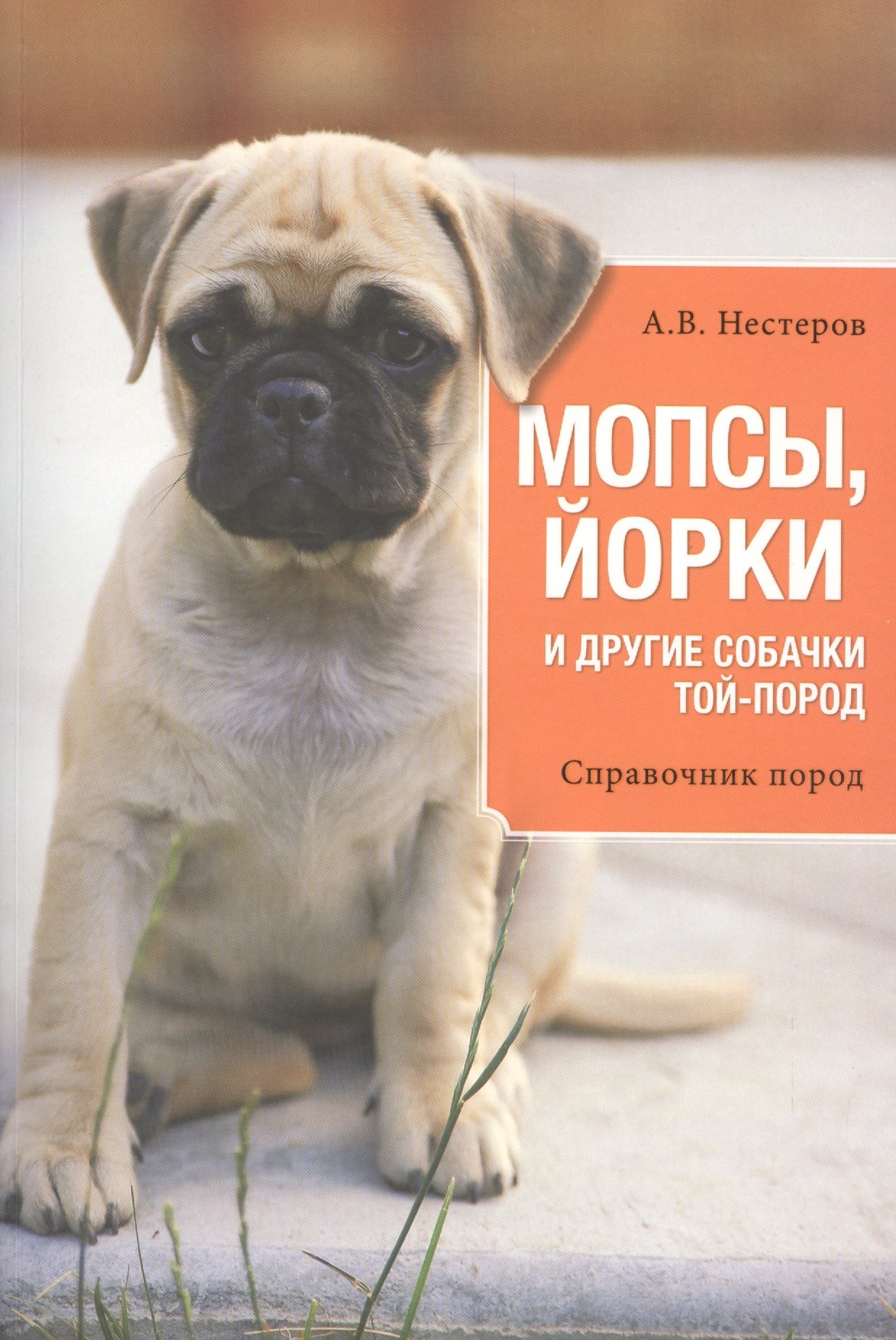 

Мопсы, йорки и другие собачки той-пород