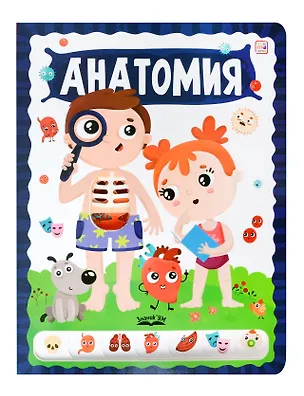 Книга Анатомия ()