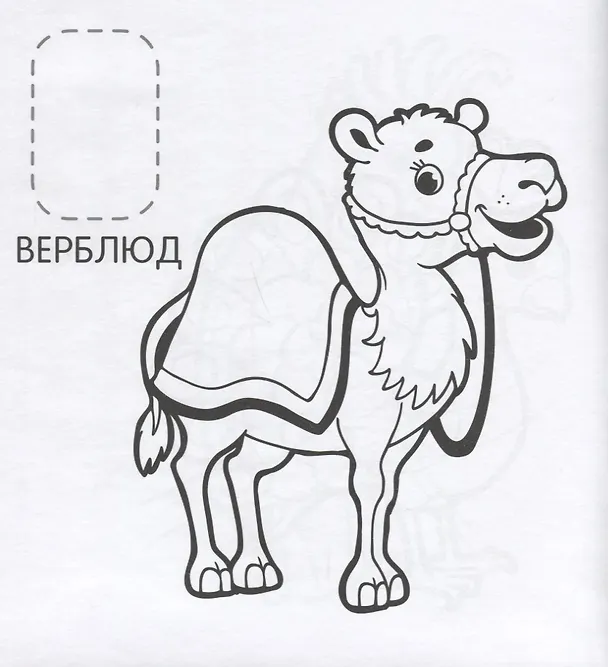 Книга Удивительные животные (Наталья Котятова) — 5