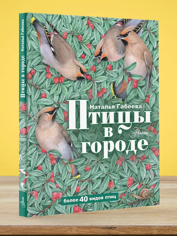 Книга Птицы в городе (Наталья Габеева) — 6