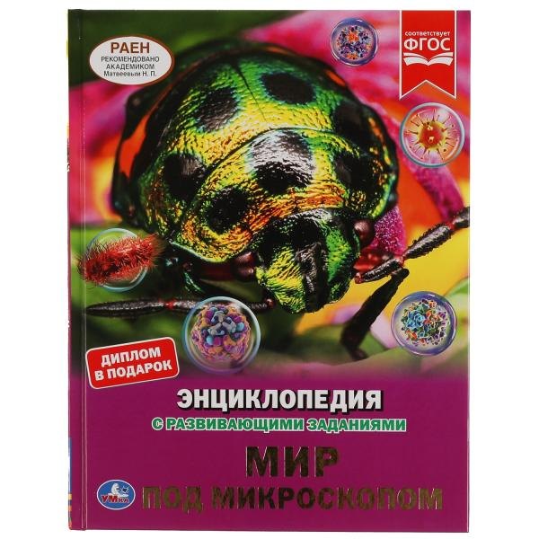 

Мир под микроскопом