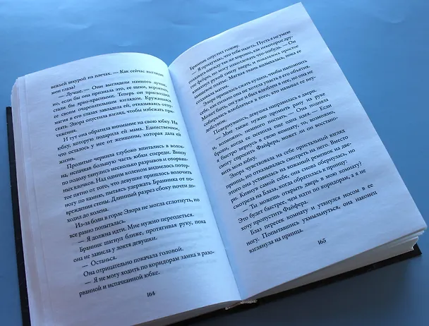 Книга Замок ядовитых шипов (Кей Л. Муди) — 8
