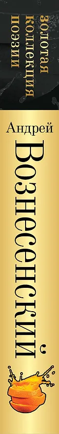 Книга Стихотворения (Андрей Вознесенский) — 3