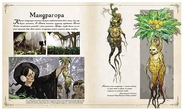 Книга Гарри Поттер. Фантастические существа () — 10