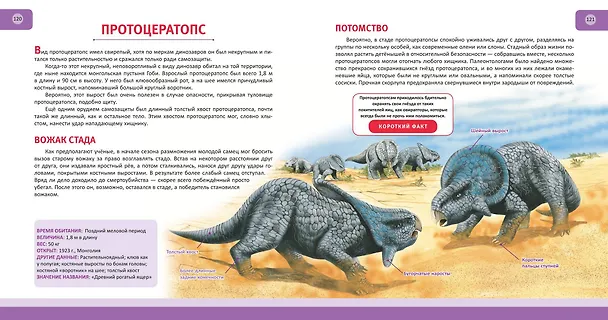Книга Динозавры. Полная энциклопедия (Тамара Грин) — 11
