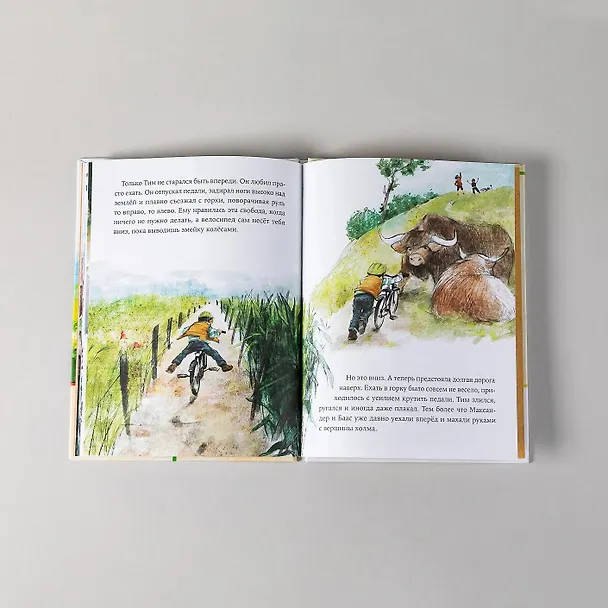Книга Как Тима укусила лошадь (Наталья Ремиш) — 5
