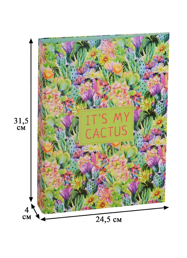 Папка 2кольца А4 "Blooming cactus" 245741 — 3