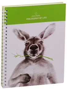 Тетрадь в клетку Kangaroo, 80 листов