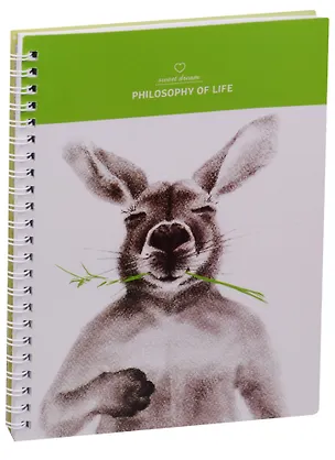 Тетрадь в клетку Kangaroo, 80 листов 243797