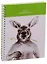 Тетрадь в клетку Kangaroo, 80 листов — 243797 — 1
