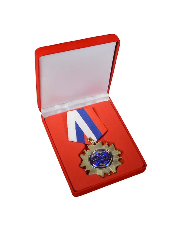 Орден металлический в бархатной коробке Мой муж молодец (553522) (5х10) 2345544 — 1