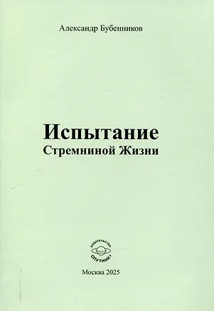 Книга Испытание Стремниной Жизни (Александр Бубенников)