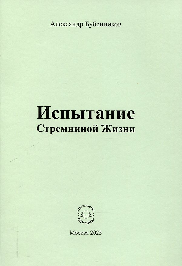 Книга Испытание Стремниной Жизни (Александр Бубенников) — 1