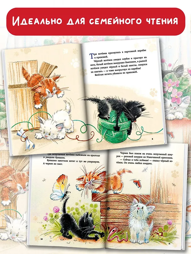 Книга Курочкин котенок (Ирина Данилова) — 6