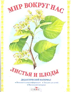 Дид.мат.Мир вокруг нас.Листья и плоды