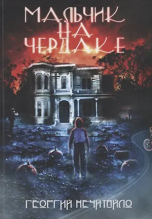 Книга Мальчик на чердаке ()