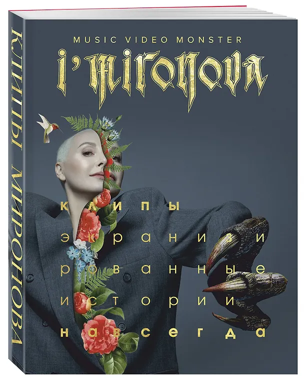 Книга Экранизированные истории. Клипы навсегда (Ирина Миронова) — 4