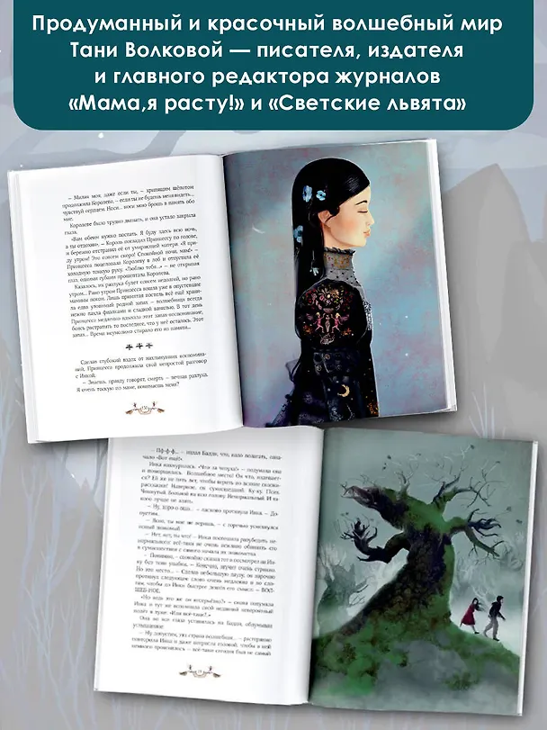Книга Зачарованный ветер. Иллюстрации Гали Зинько (Татьяна Волкова) — 8