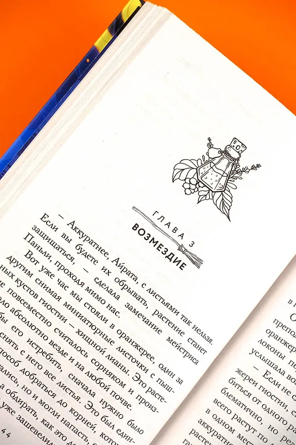 Книга Академия Шепота (Любовь Огненная) — 9