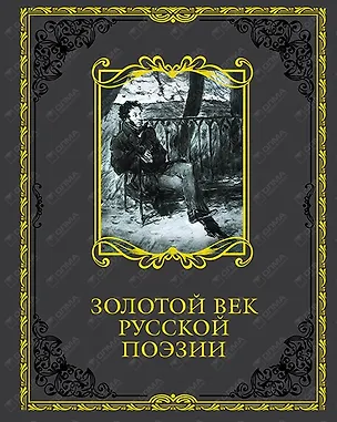 Книга Золотой век русской поэзии (кожа) (Светлана Абовская)