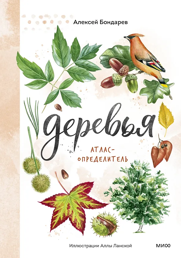 Книга Деревья. Атлас-определитель (Алексей Бондарев) — 1