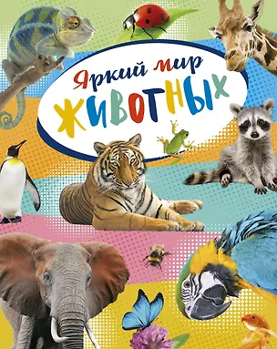 Книга Яркий мир животных (Кристин Балле)