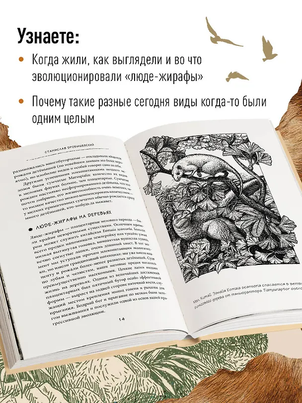 Книга Почему жирафы не стали людьми и другие вопросы эволюции (Станислав Дробышевский) — 7